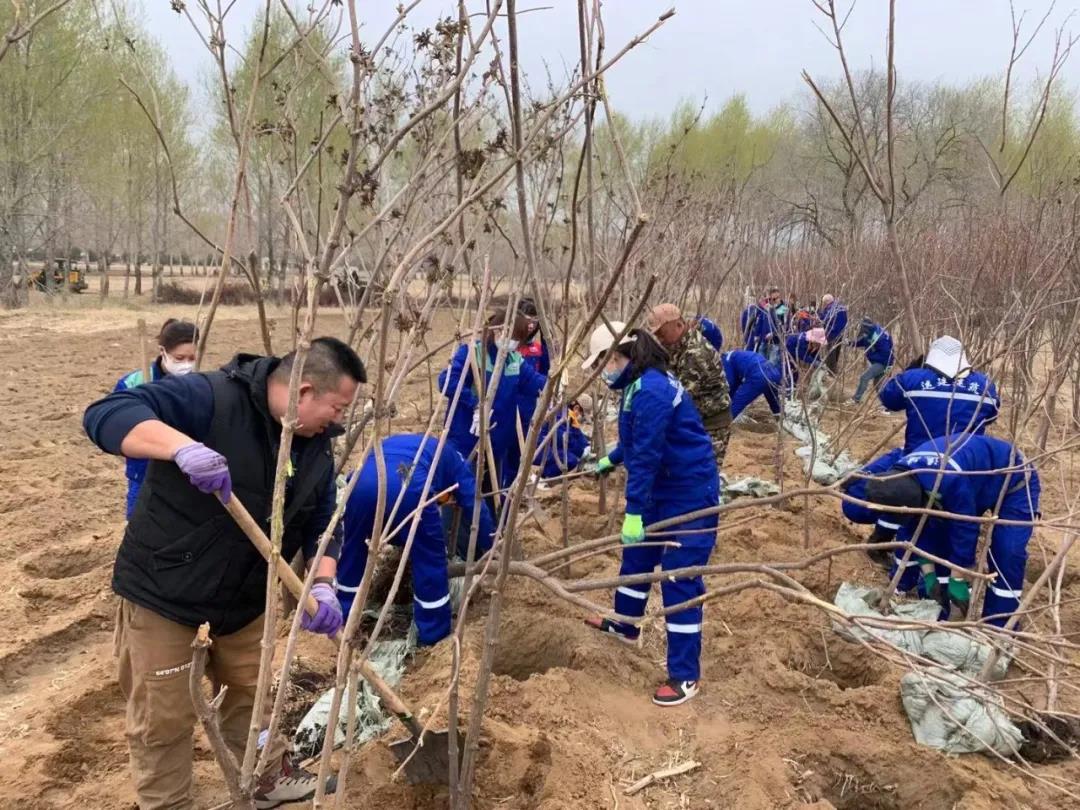 BG大游(中国)唯一官方网站