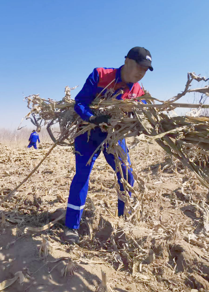 BG大游(中国)唯一官方网站