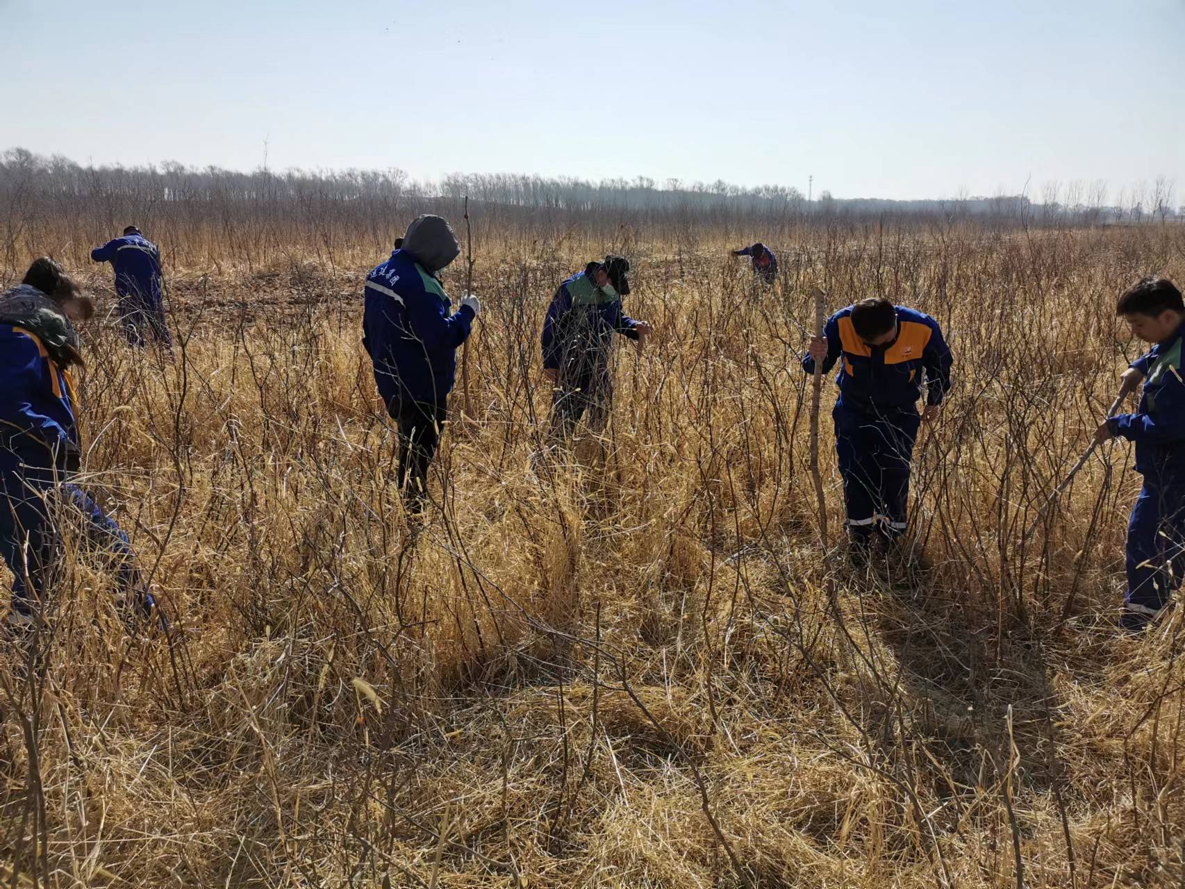 BG大游(中国)唯一官方网站