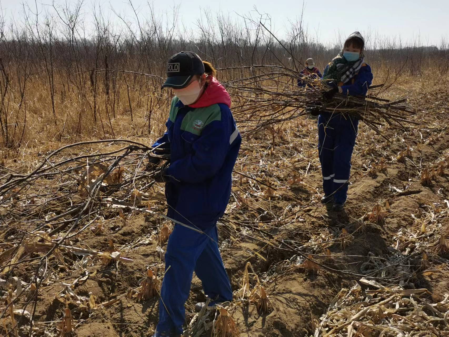 BG大游(中国)唯一官方网站
