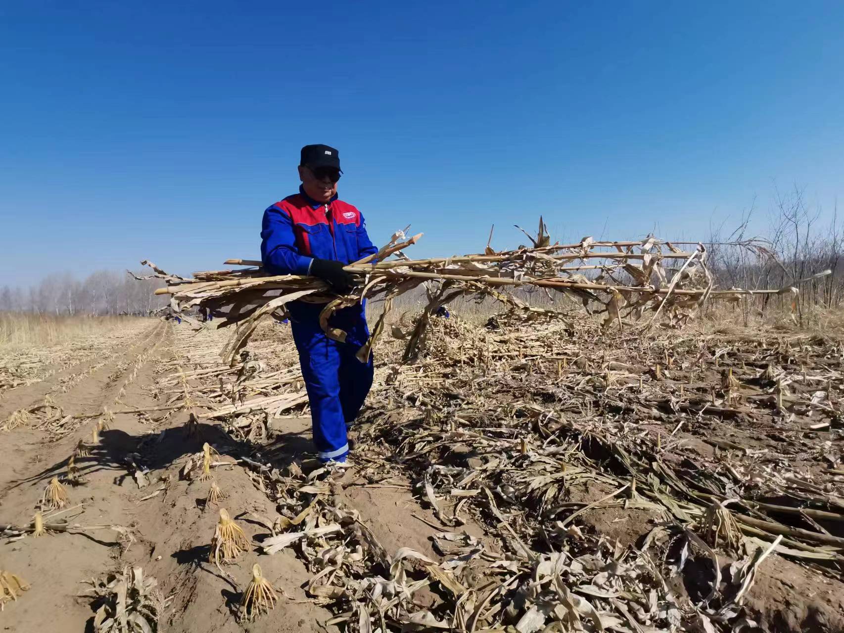 BG大游(中国)唯一官方网站