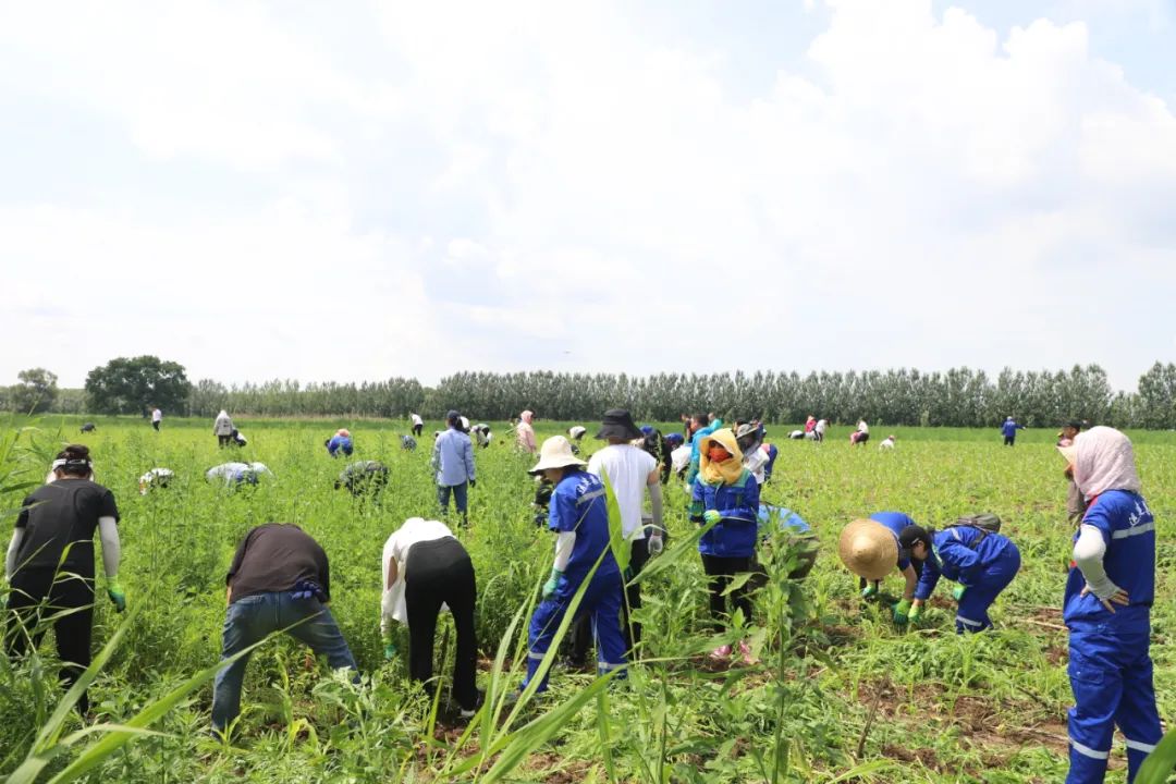 BG大游(中国)唯一官方网站