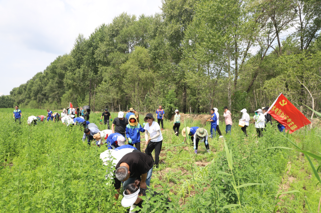 BG大游(中国)唯一官方网站