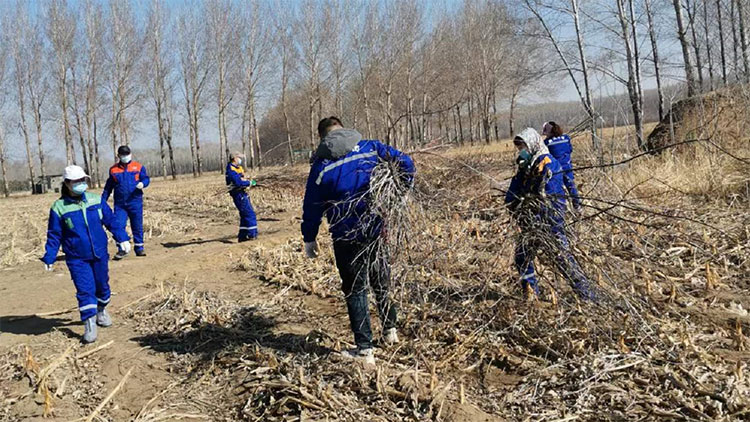 BG大游(中国)唯一官方网站