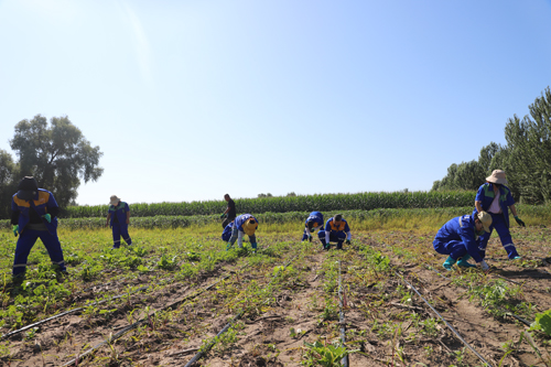BG大游(中国)唯一官方网站