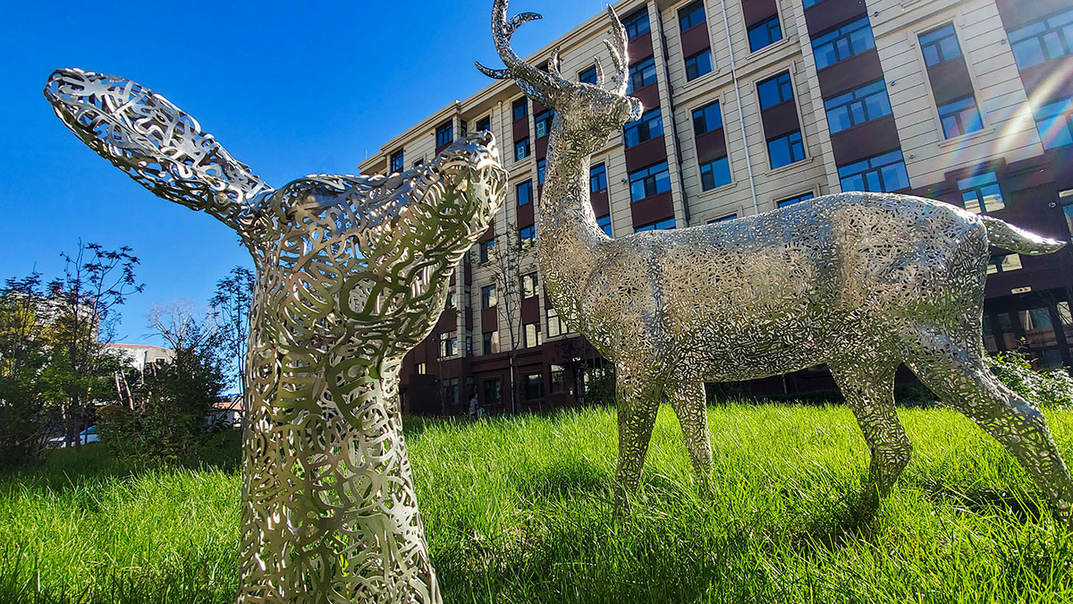 BG大游(中国)唯一官方网站