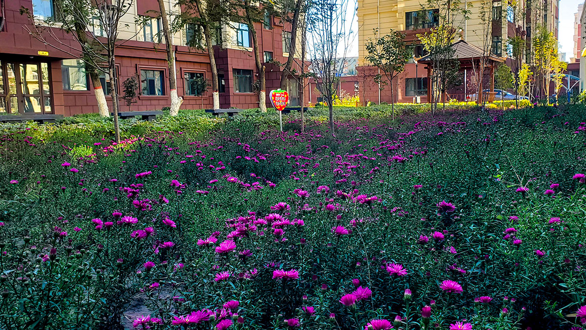 BG大游(中国)唯一官方网站