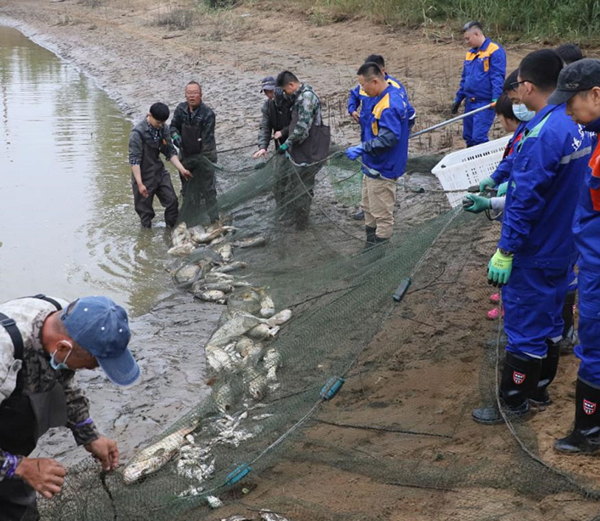 BG大游(中国)唯一官方网站