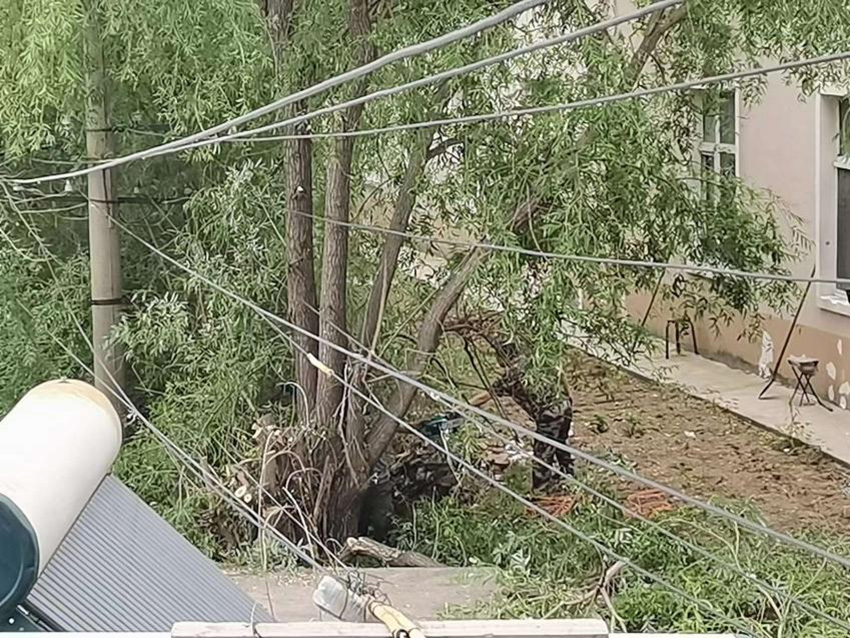 BG大游(中国)唯一官方网站