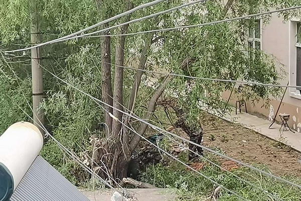 BG大游(中国)唯一官方网站