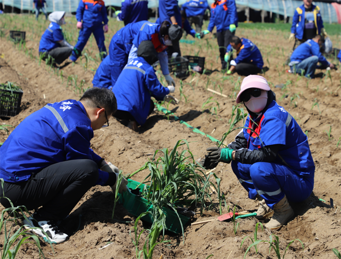 BG大游(中国)唯一官方网站
