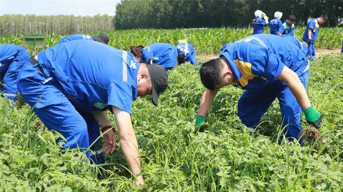 BG大游(中国)唯一官方网站