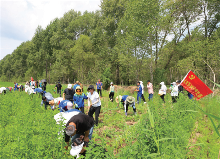 BG大游(中国)唯一官方网站